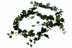 036 veštačke lozice